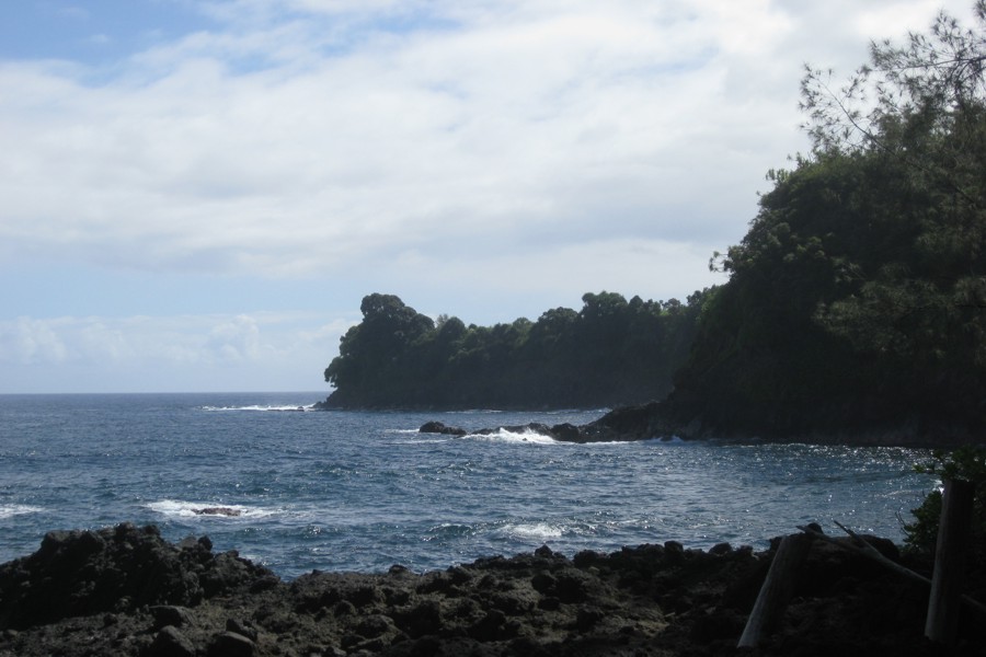 ../image/hawaii tropical botanical garden - onomea bay 6.jpg